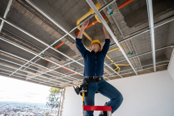 Best Residential Plumbing Services  in Godfrey, IL